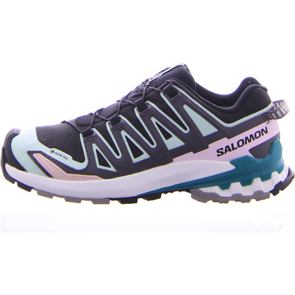 Schuhe XA PRO 3D V9 GTX W Blac