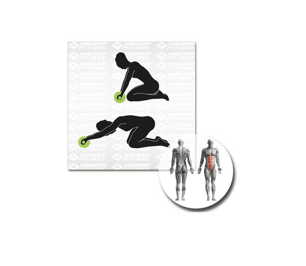 NOS SK Fitness AB-Roller Bauchtrai