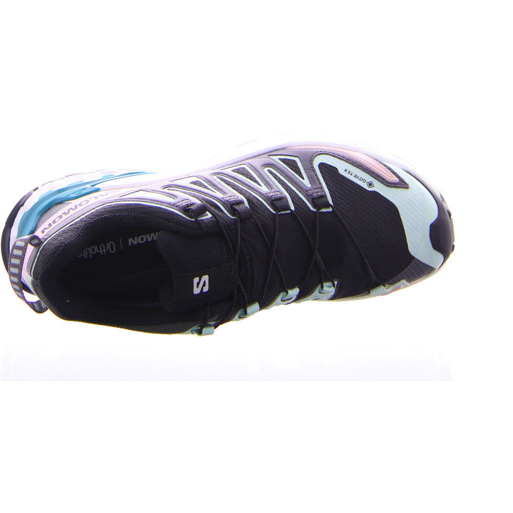 Schuhe XA PRO 3D V9 GTX W Blac